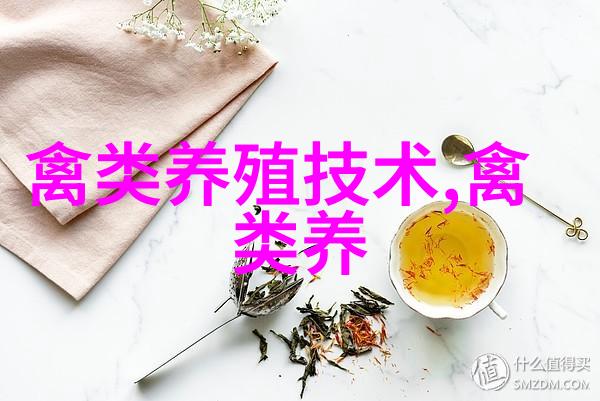 鹅类新品种莱茵鹅